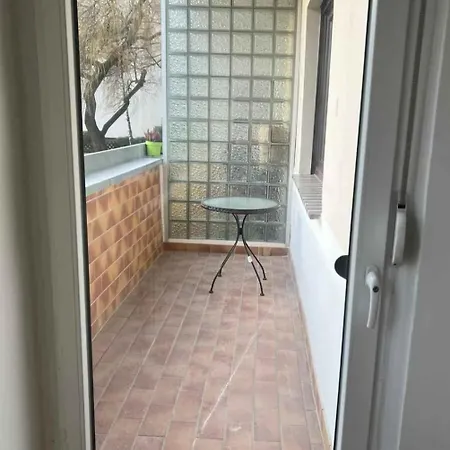 Warszawiak * Varsavia